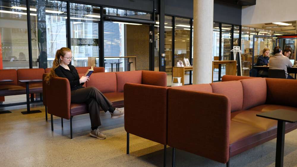 Student som leser, andre studenter som jobber i bakgrunnen.