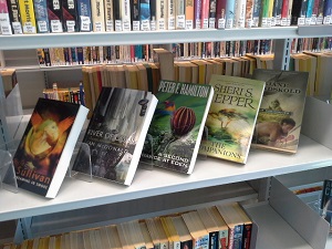 Bildet kan inneholde: bibliotek, bok, utgivelse, bokhandel, hylle.