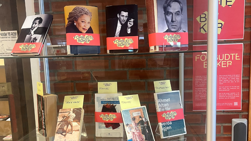 Bildet kan inneholde: reklame, utgivelse, hyller, hylle, plakat.