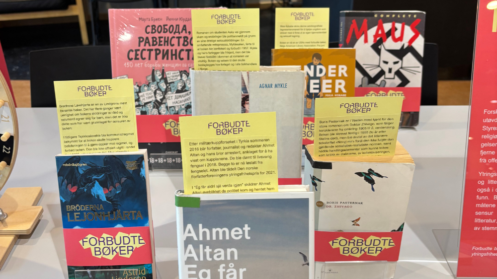 Bildet kan inneholde: papirprodukt, utgivelse, papir, bok, reklame.