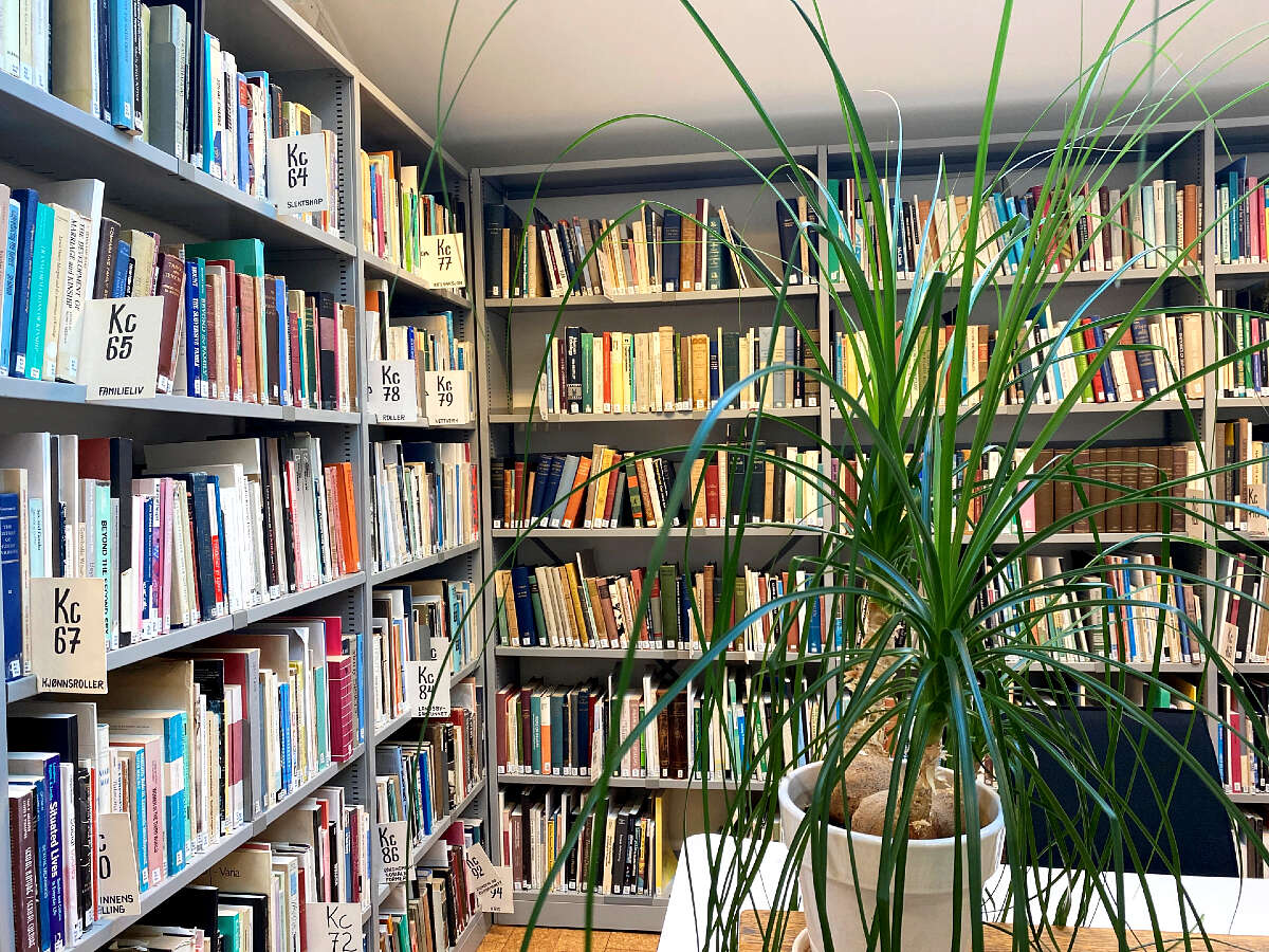 Image may contain: Bookcase, Shelf, Shelving, Book, Furniture.