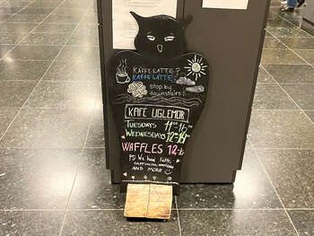 Image may contain: Felidae, Cat, Carnivores, Felinae, Handwriting.