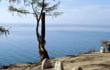 Baikalsj�en