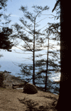 Baikalsj�en