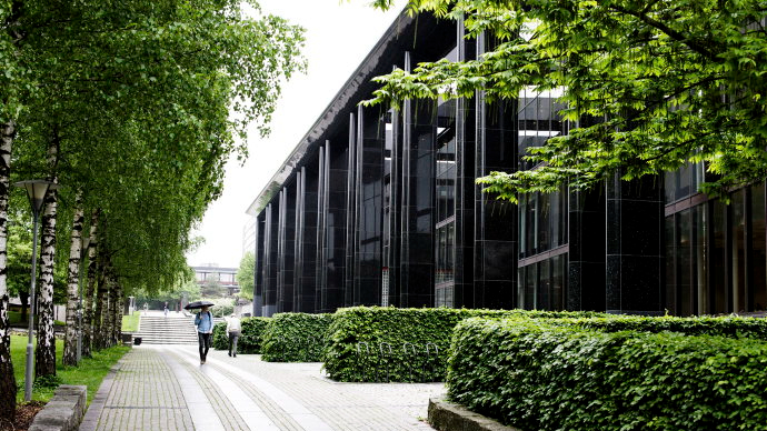 Trees, a monumental black building