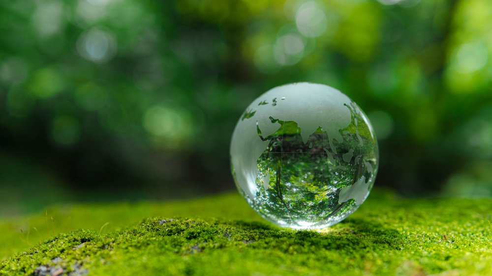 Glass globe on green background