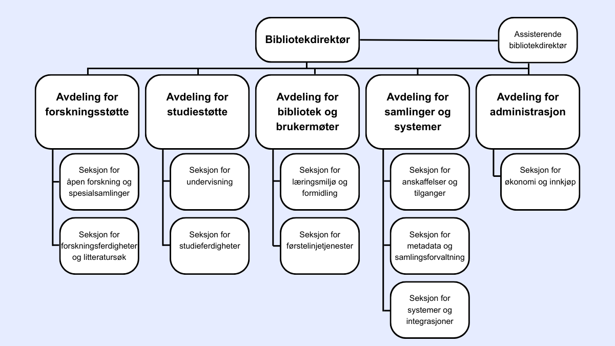 Organisasjonskart for Universitetsbiblioteket.